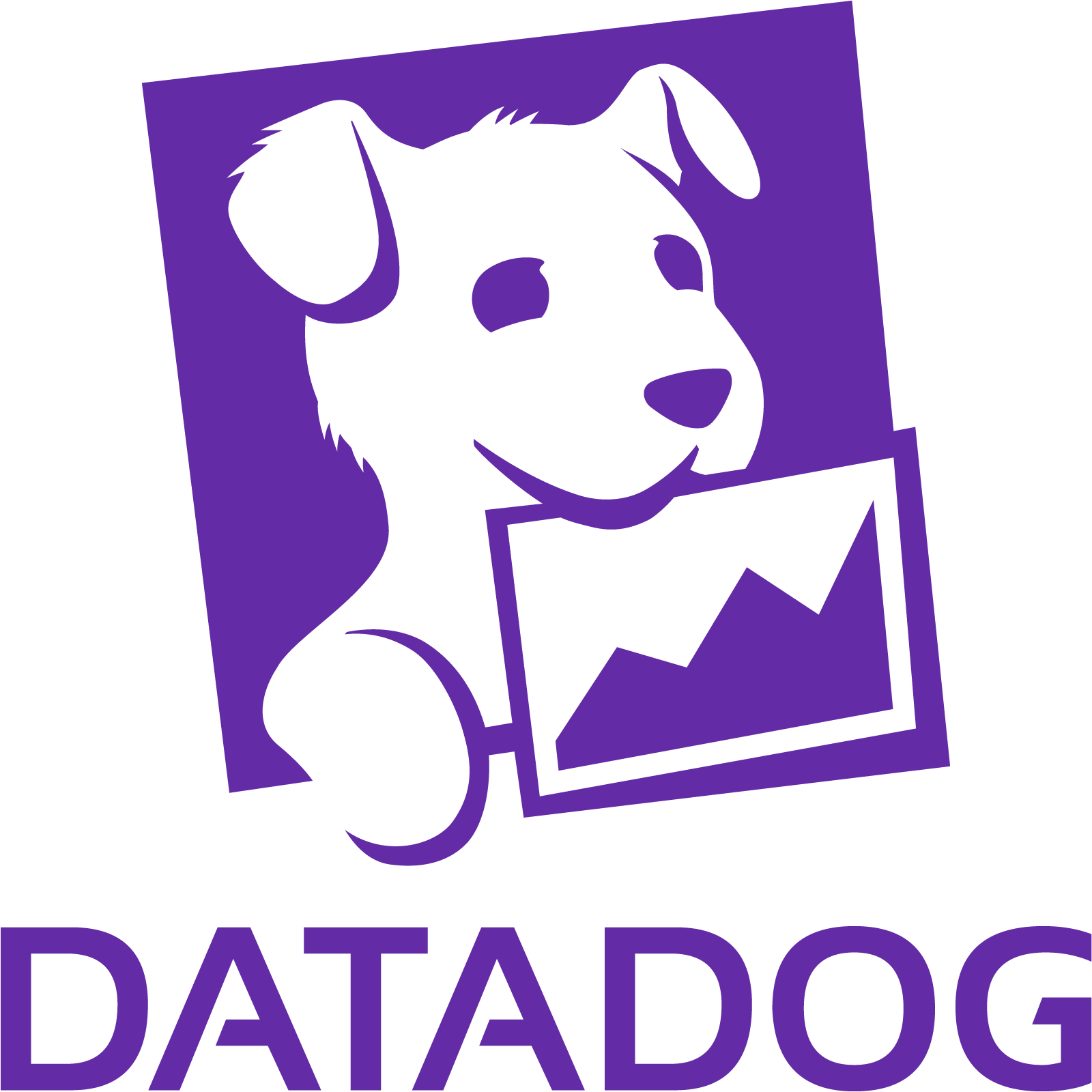 Datadog Datadog